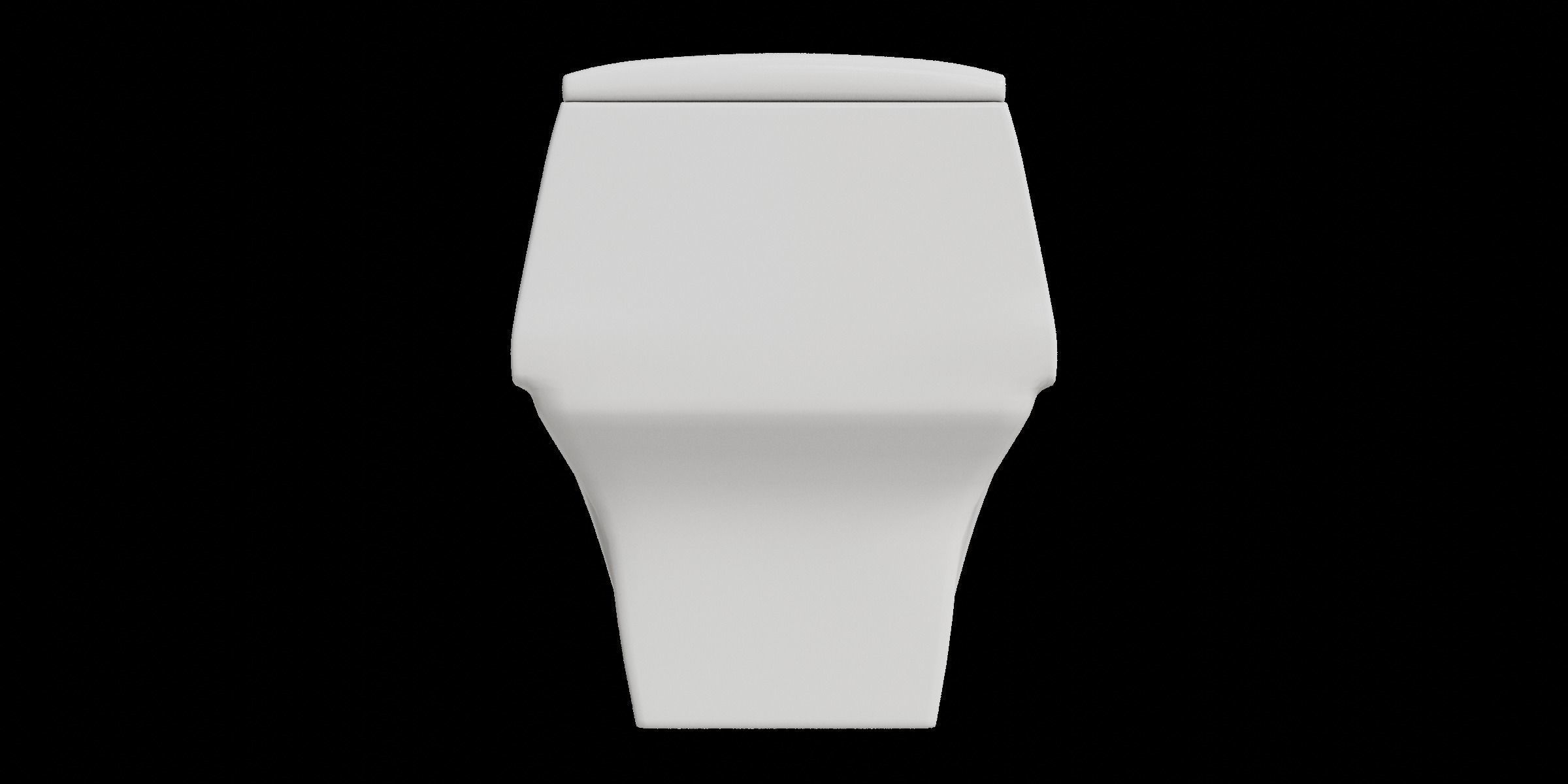 White Curve One Piece Toilet Low-poly 3D model_6