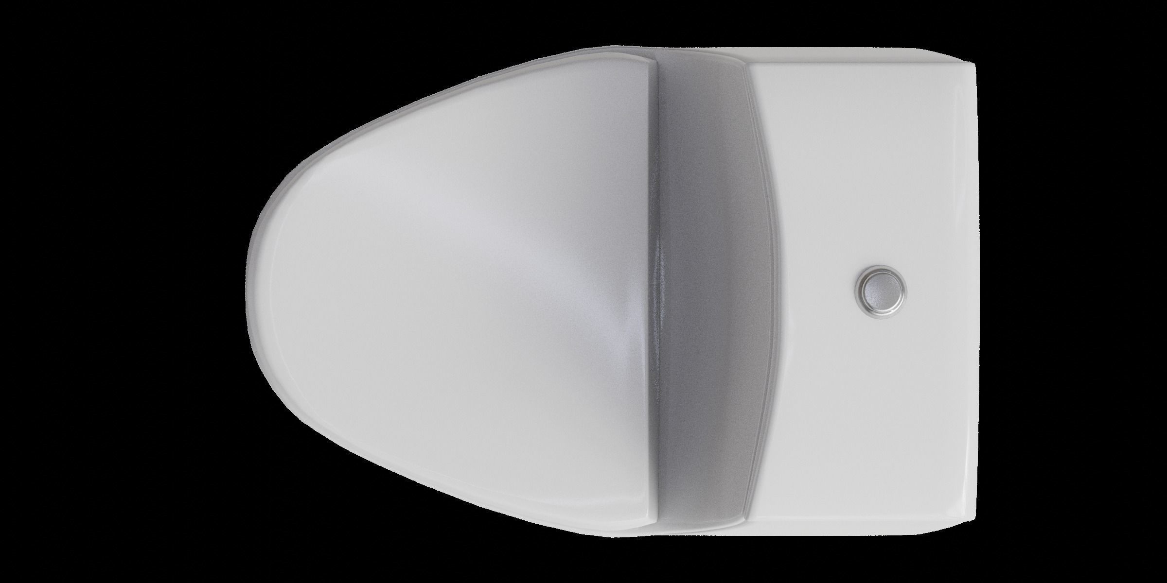 White Curve One Piece Toilet Low-poly 3D model_1