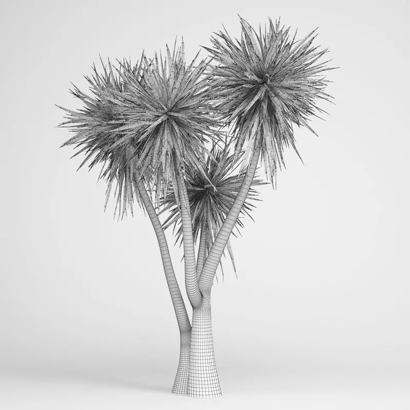 Yucca three palm trees 3D model_0