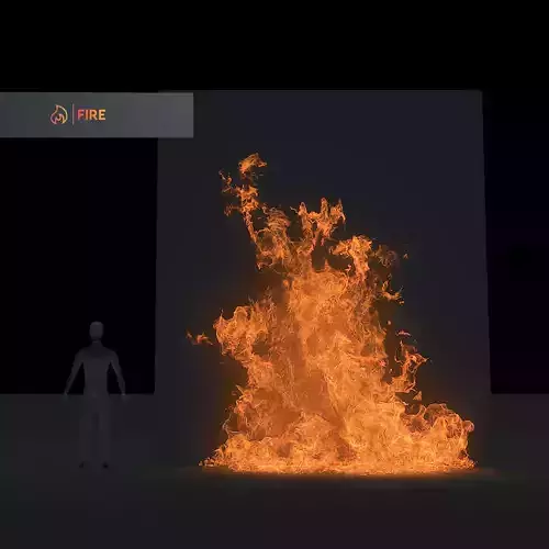 3D Wallfire Animation 3D model