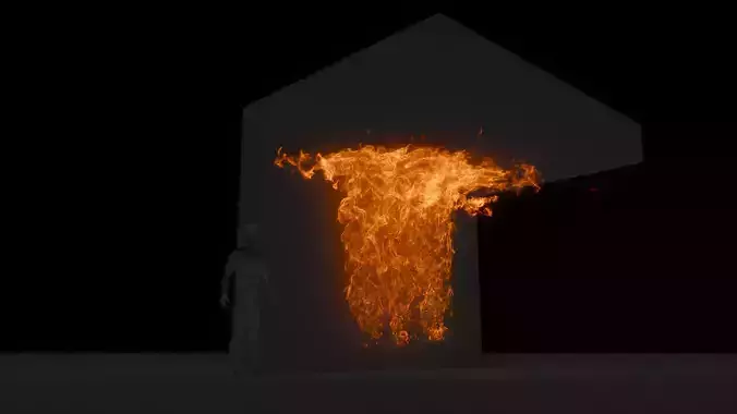 3D Wallfire Animation 3D model
