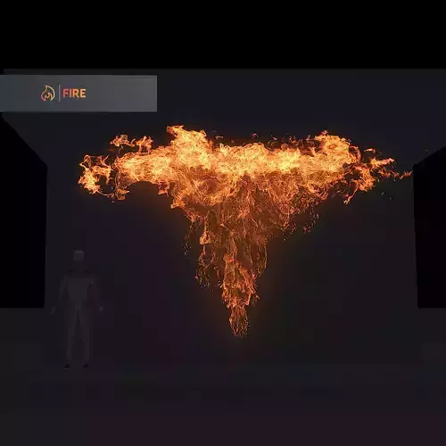 3D Wallfire Animation 3D model