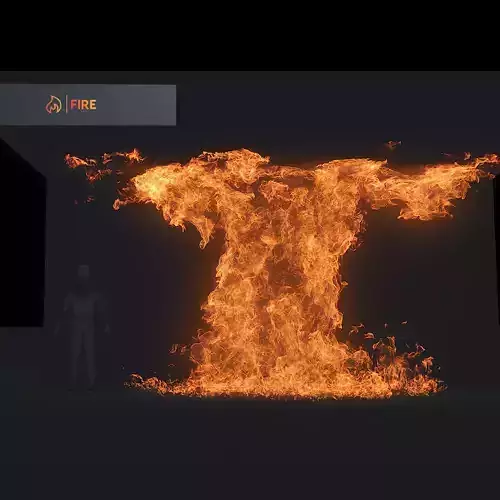 3D Wallfire Animation 3D model