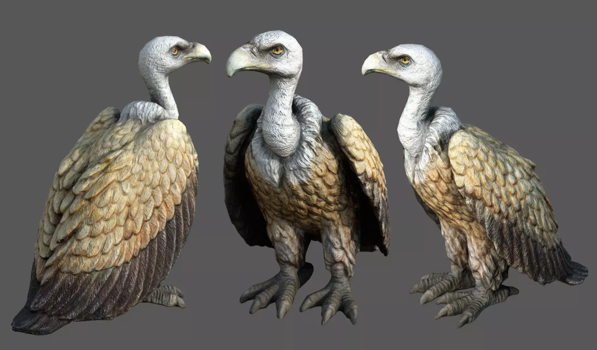 Vulture Low-poly 3D model_0
