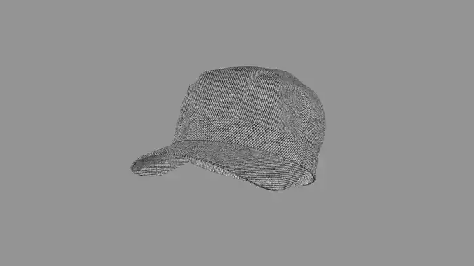 Basic Cap Plaid Hat Grey Low-poly 