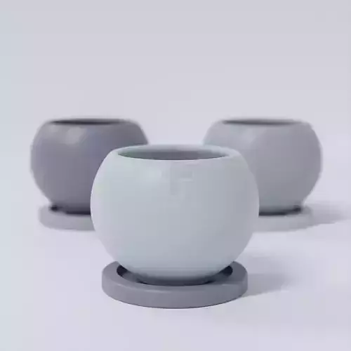 Round cactus pot size 12 mm with tray PP-002