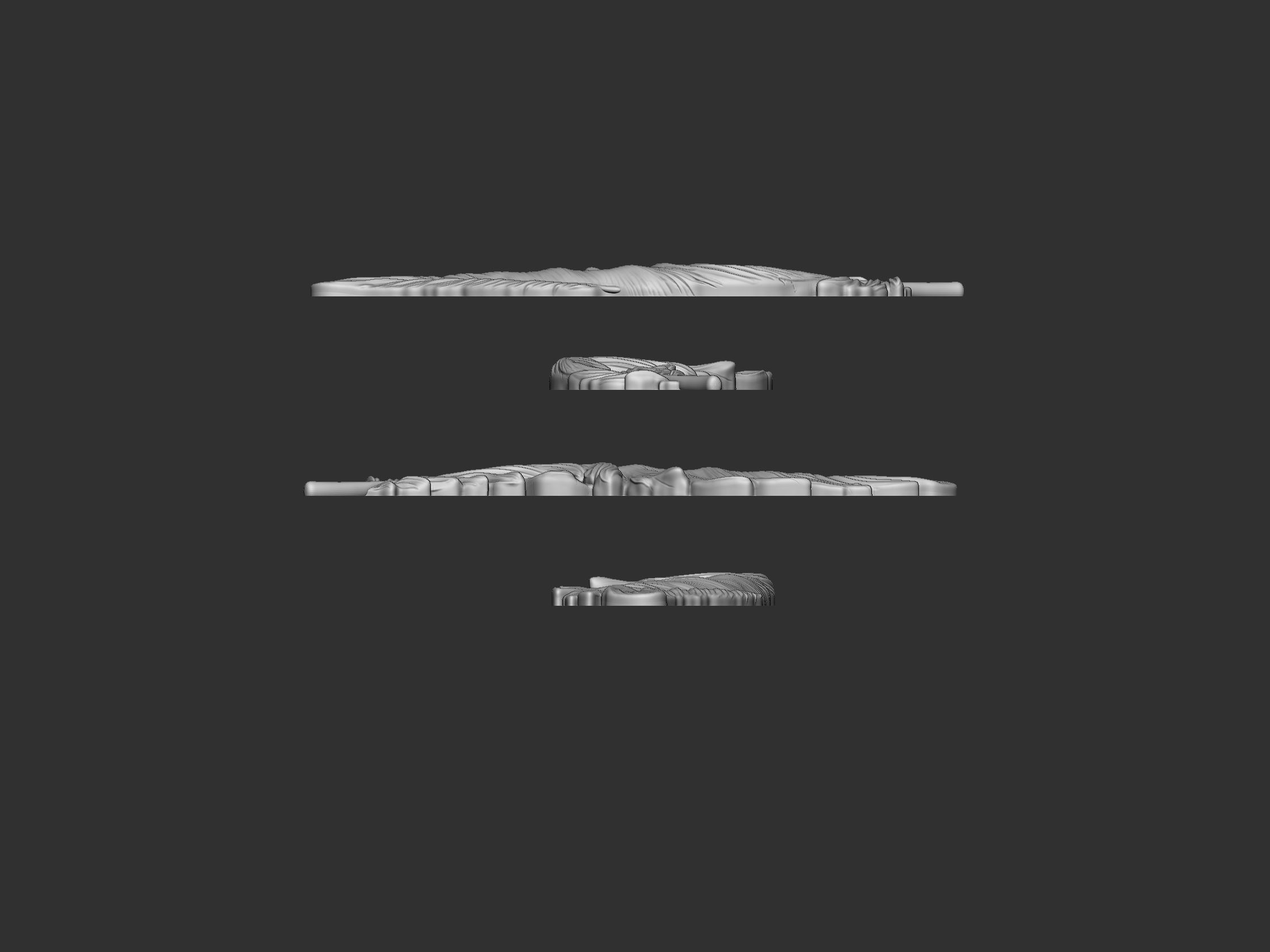 Feather Bas-Relief 3D print model_8