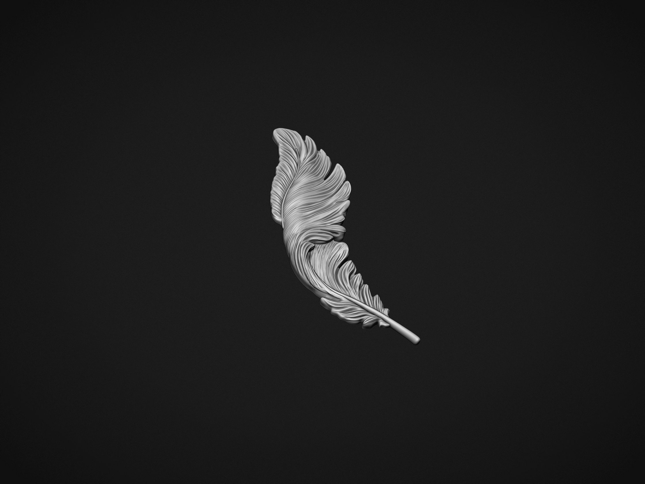 Feather Bas-Relief 3D print model_4