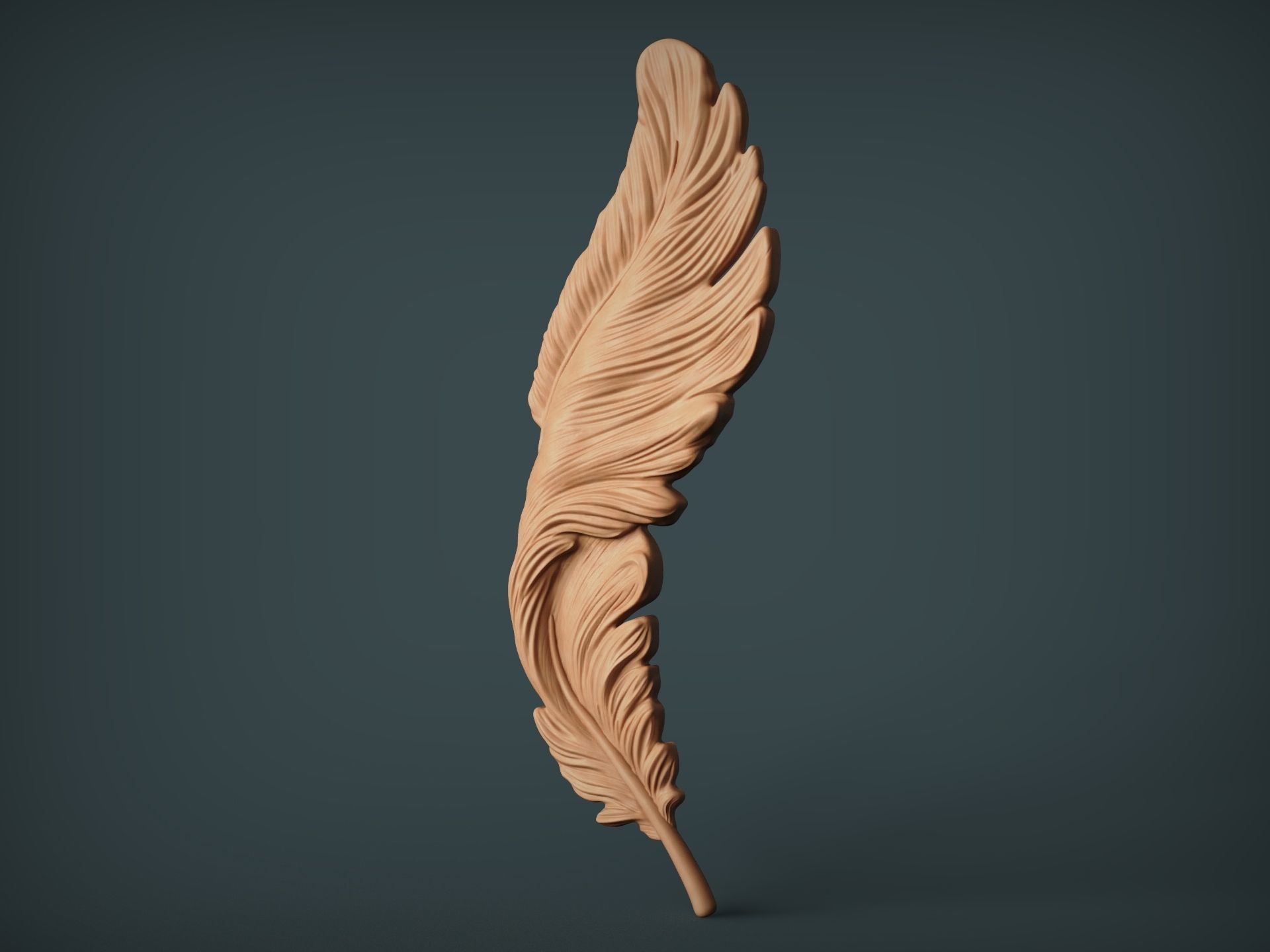 Feather Bas-Relief 3D print model_1