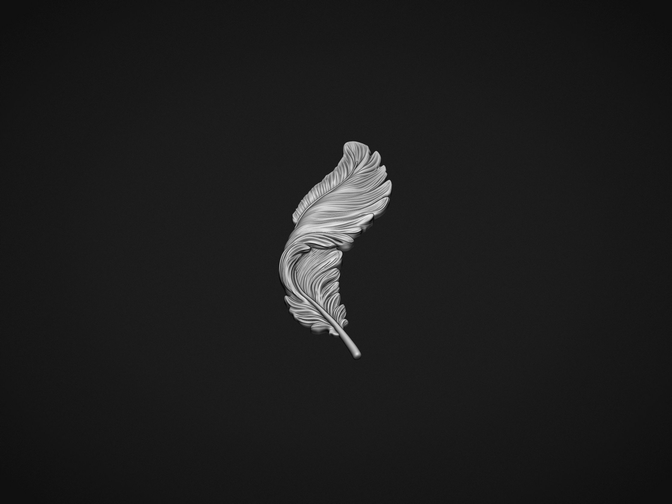Feather Bas-Relief 3D print model_3