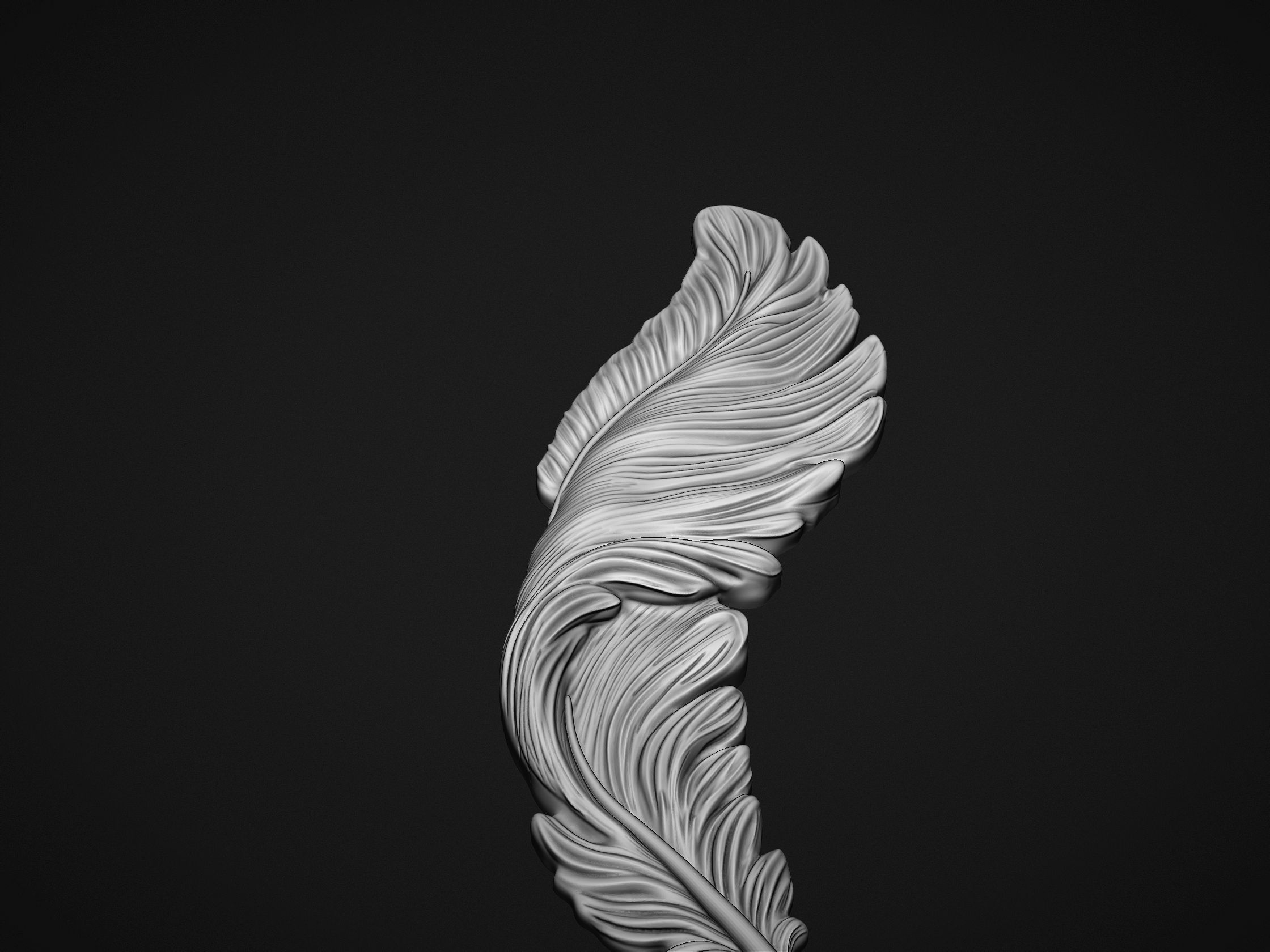 Feather Bas-Relief 3D print model_7