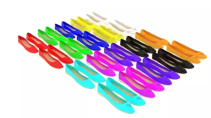 Woman Ballet Flat Shoes Set