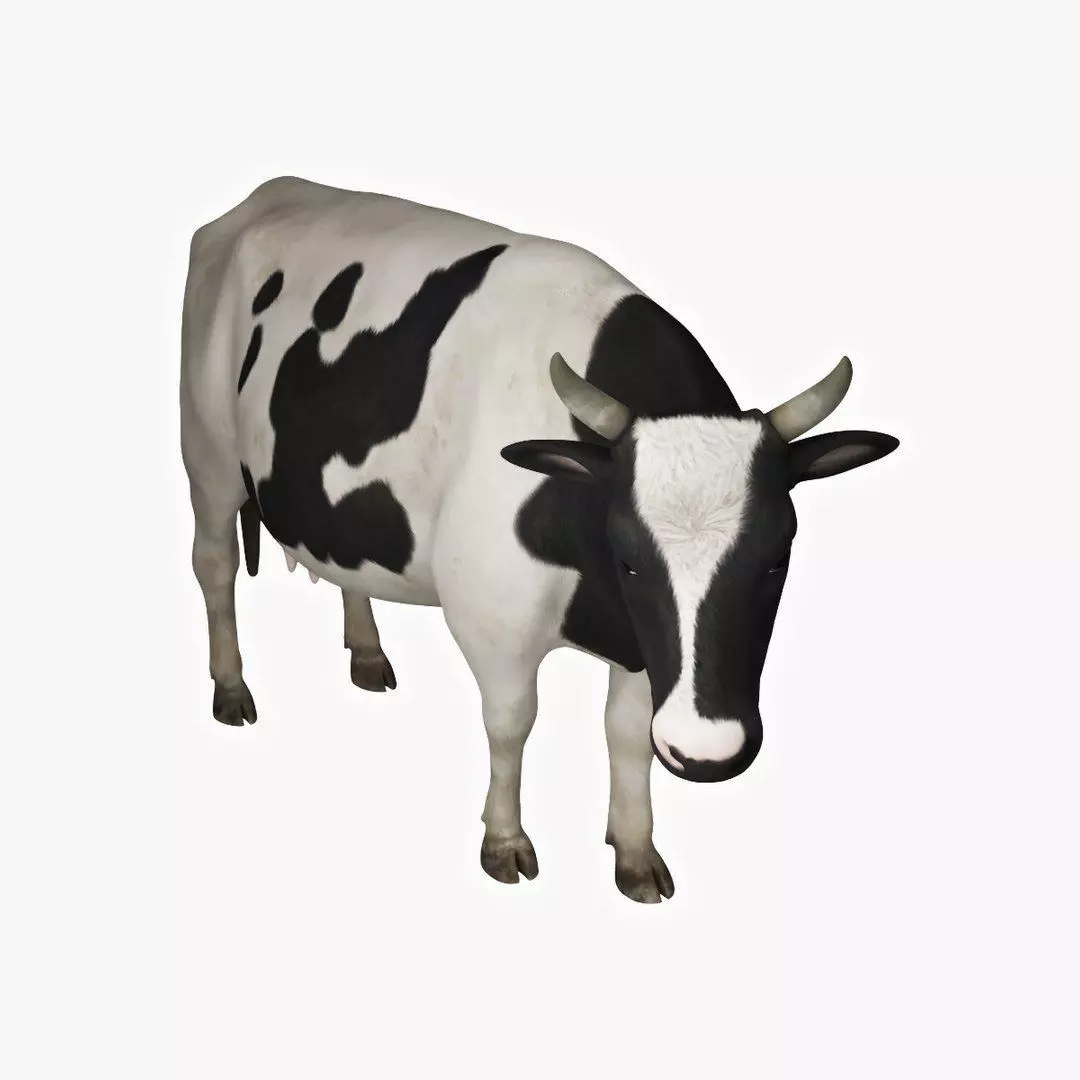 Dairy Cow 3D model_0