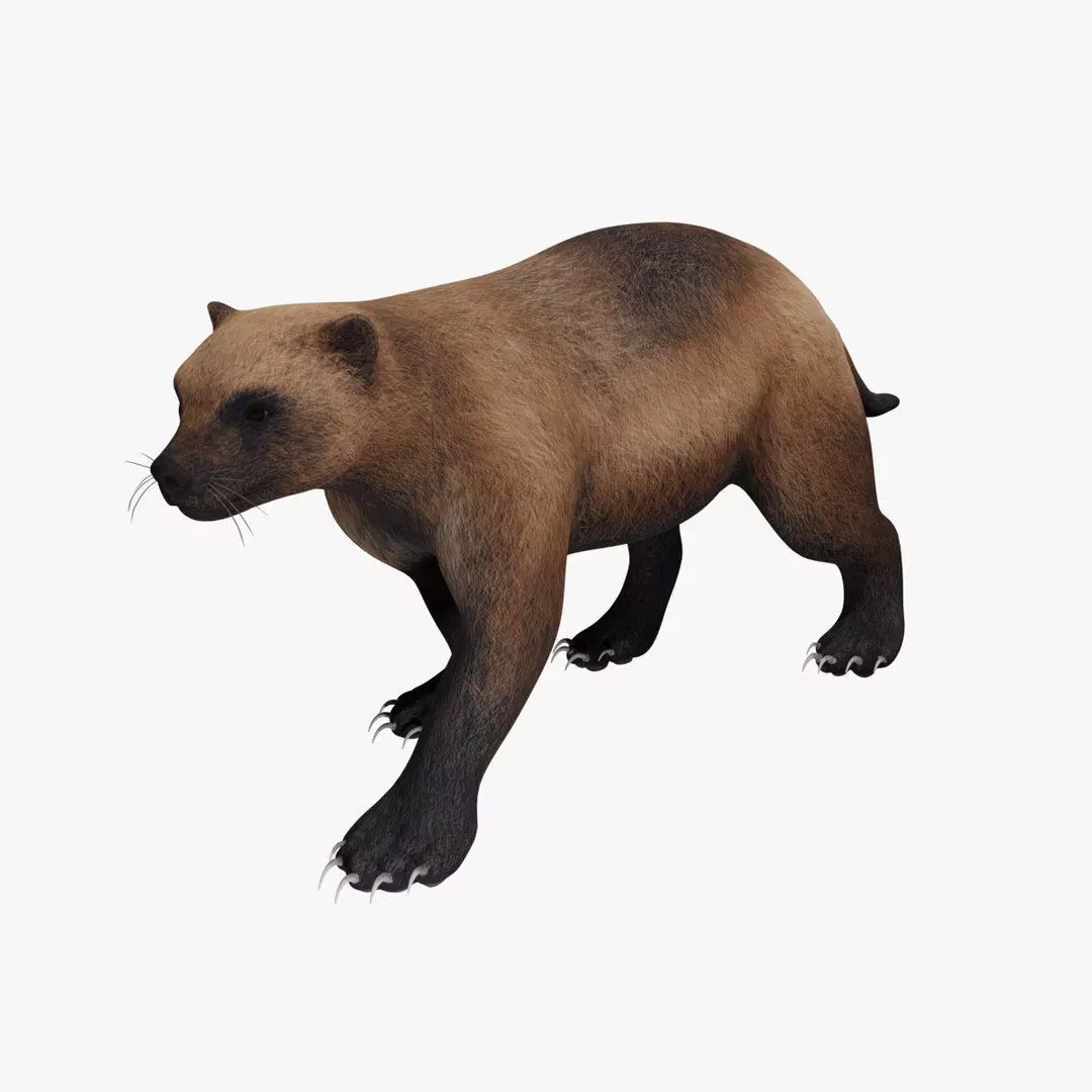 Wolverine 3D model_0