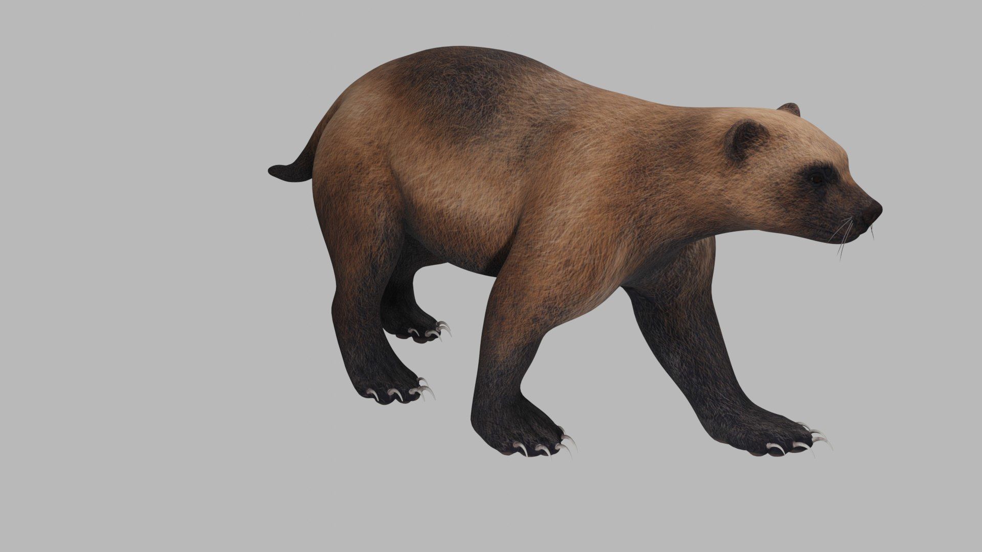 Wolverine 3D model_1