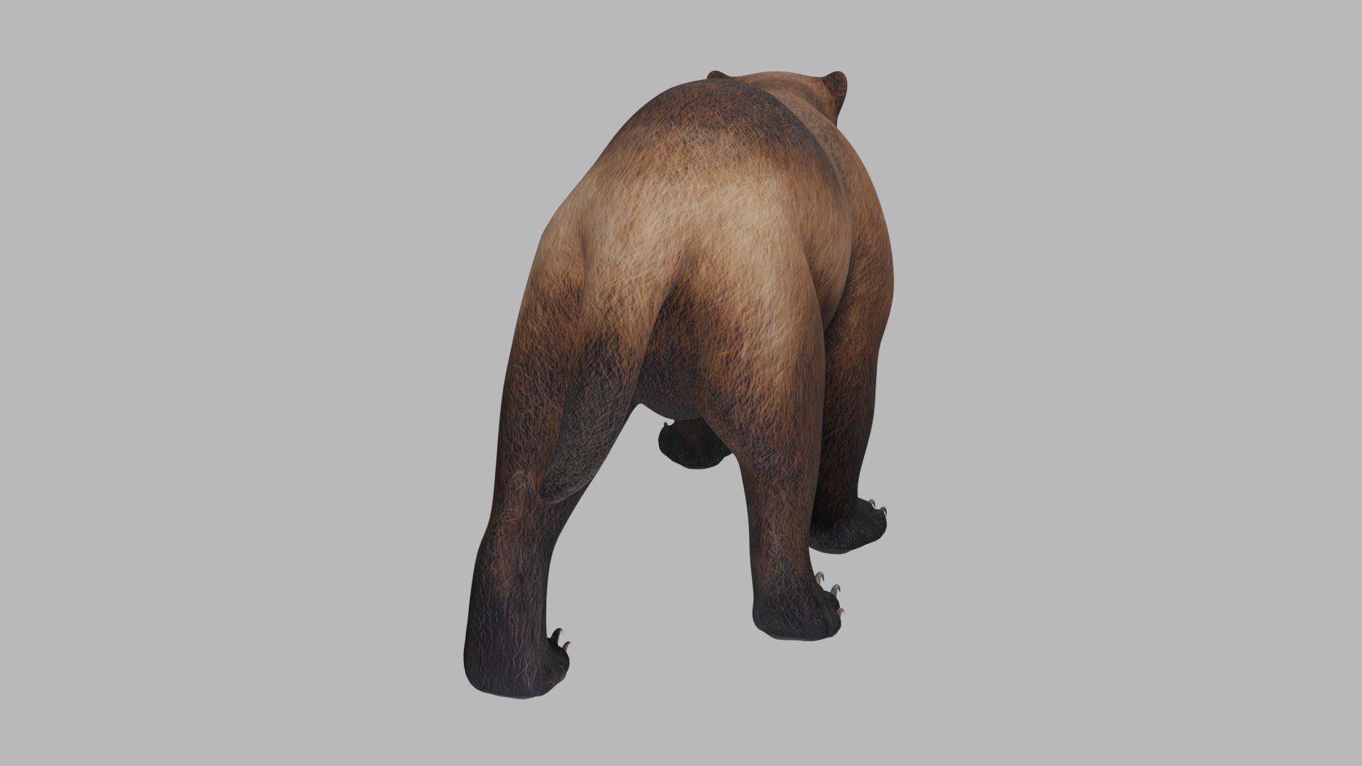 Wolverine 3D model_5