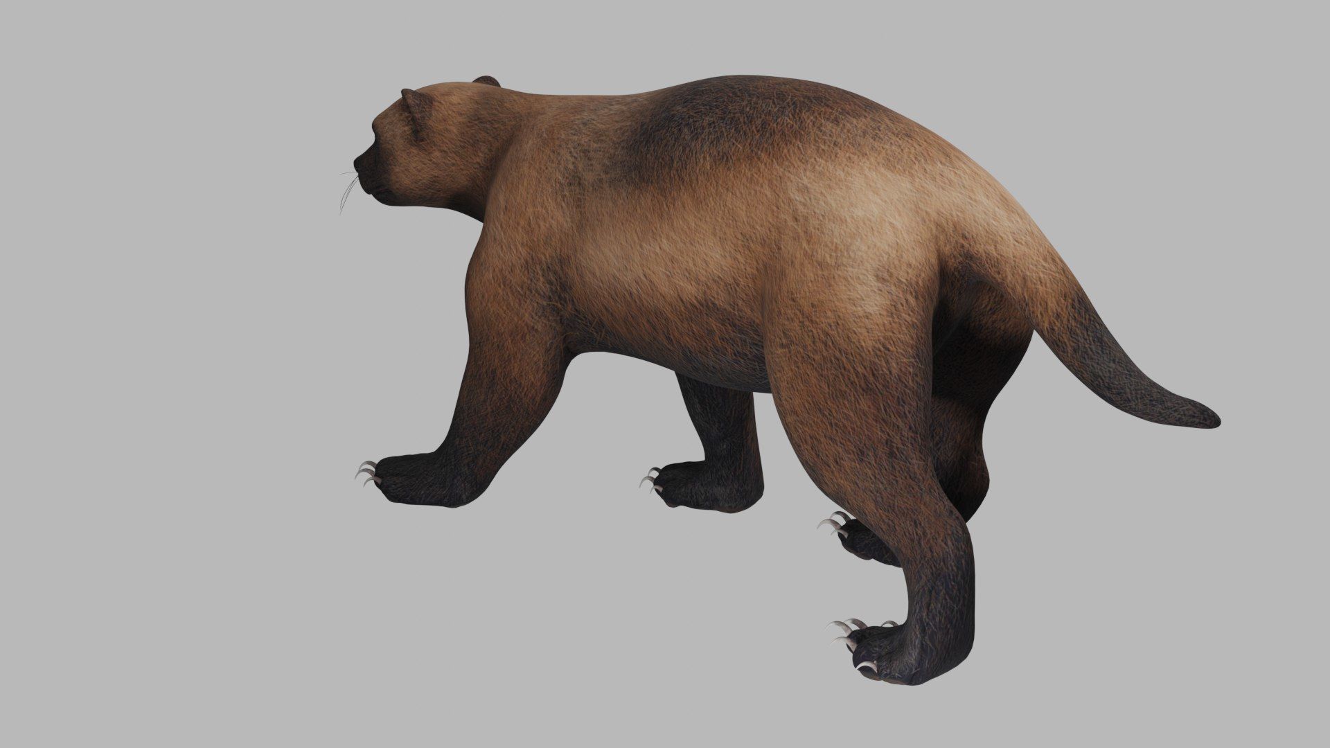 Wolverine 3D model_4