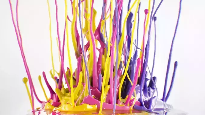 Paint Splash Animated  3D model