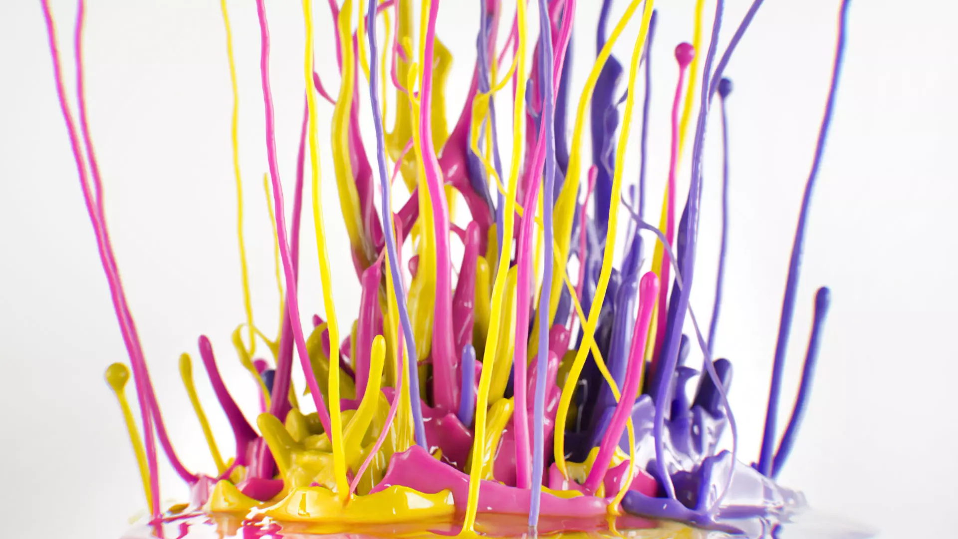 Paint Splash Animated 3D model