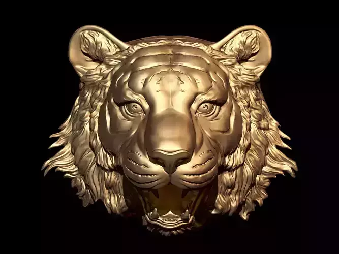 Tiger head
