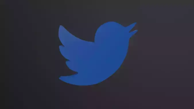 Twitter Bird Logo 3D Model