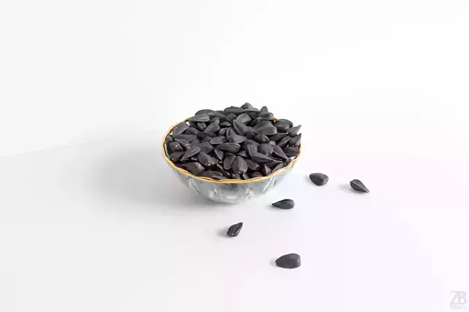 Sunflower Seed 3D model