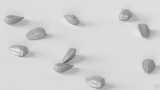 Sunflower Seed 3D model 4