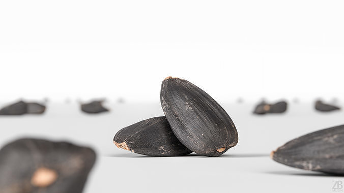 Sunflower Seed 3D model 2