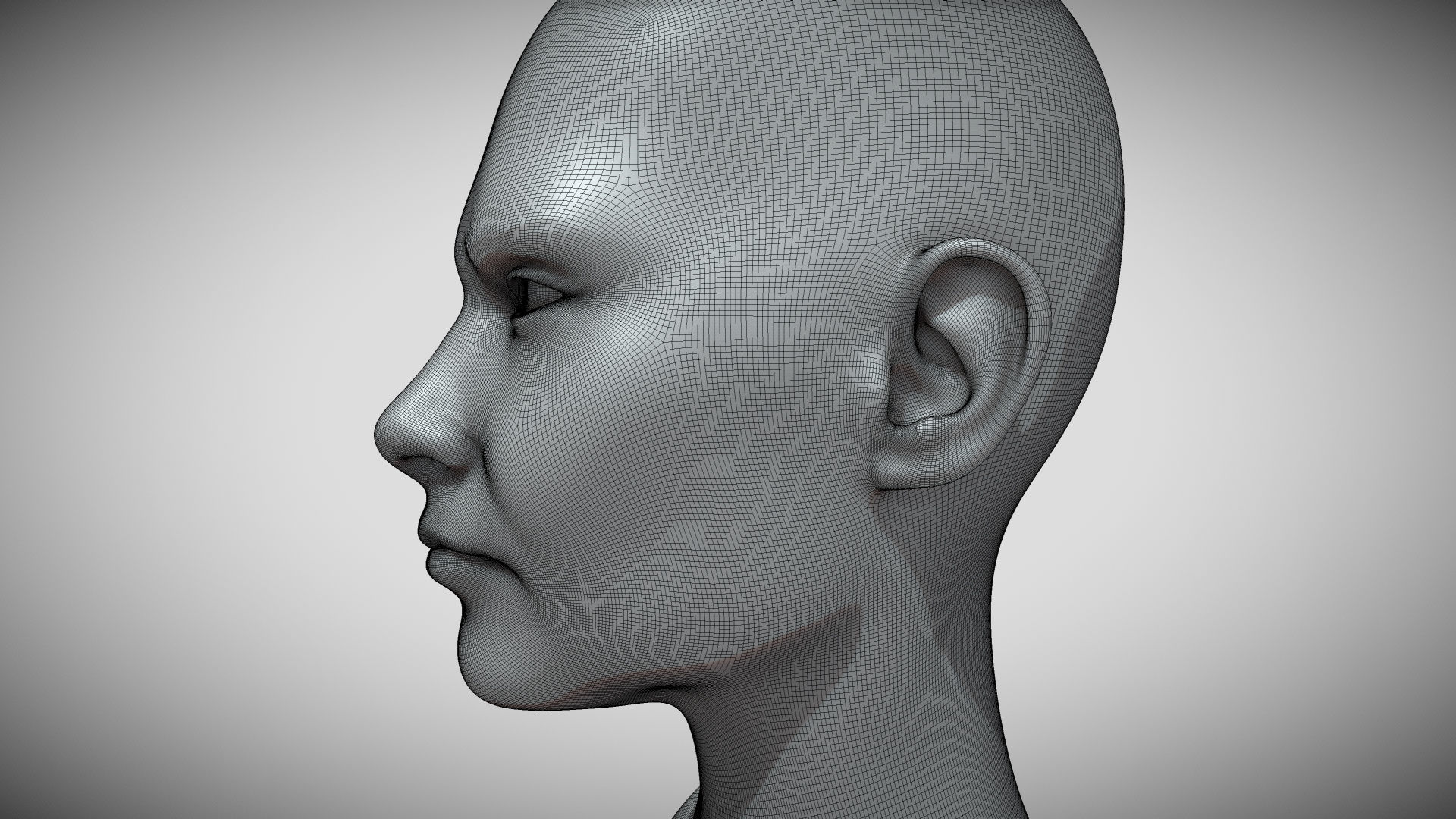 Female head Base - Soldier Free 3D model_5