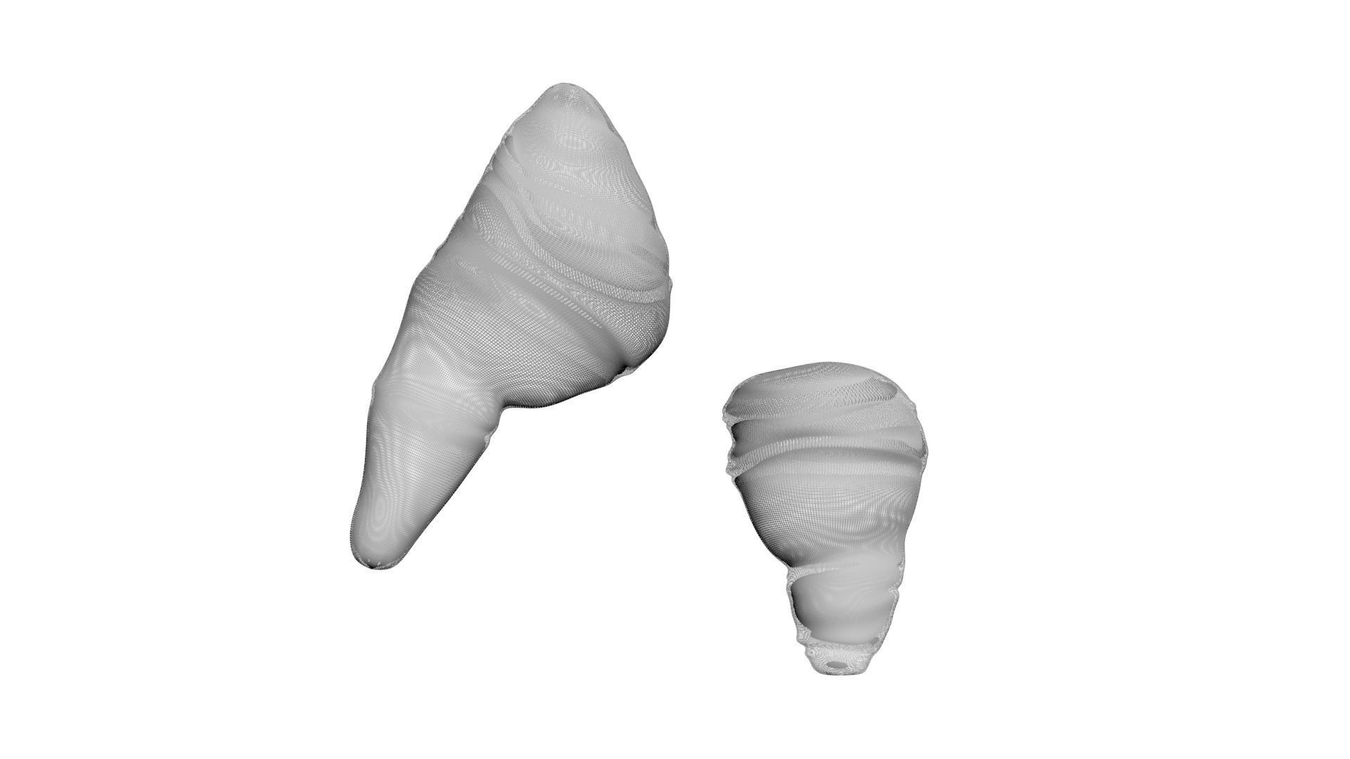 Fish Heart 3D model_10