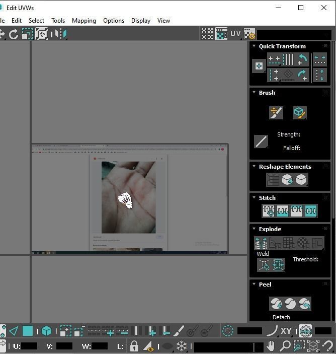 Fish Heart 3D model_17