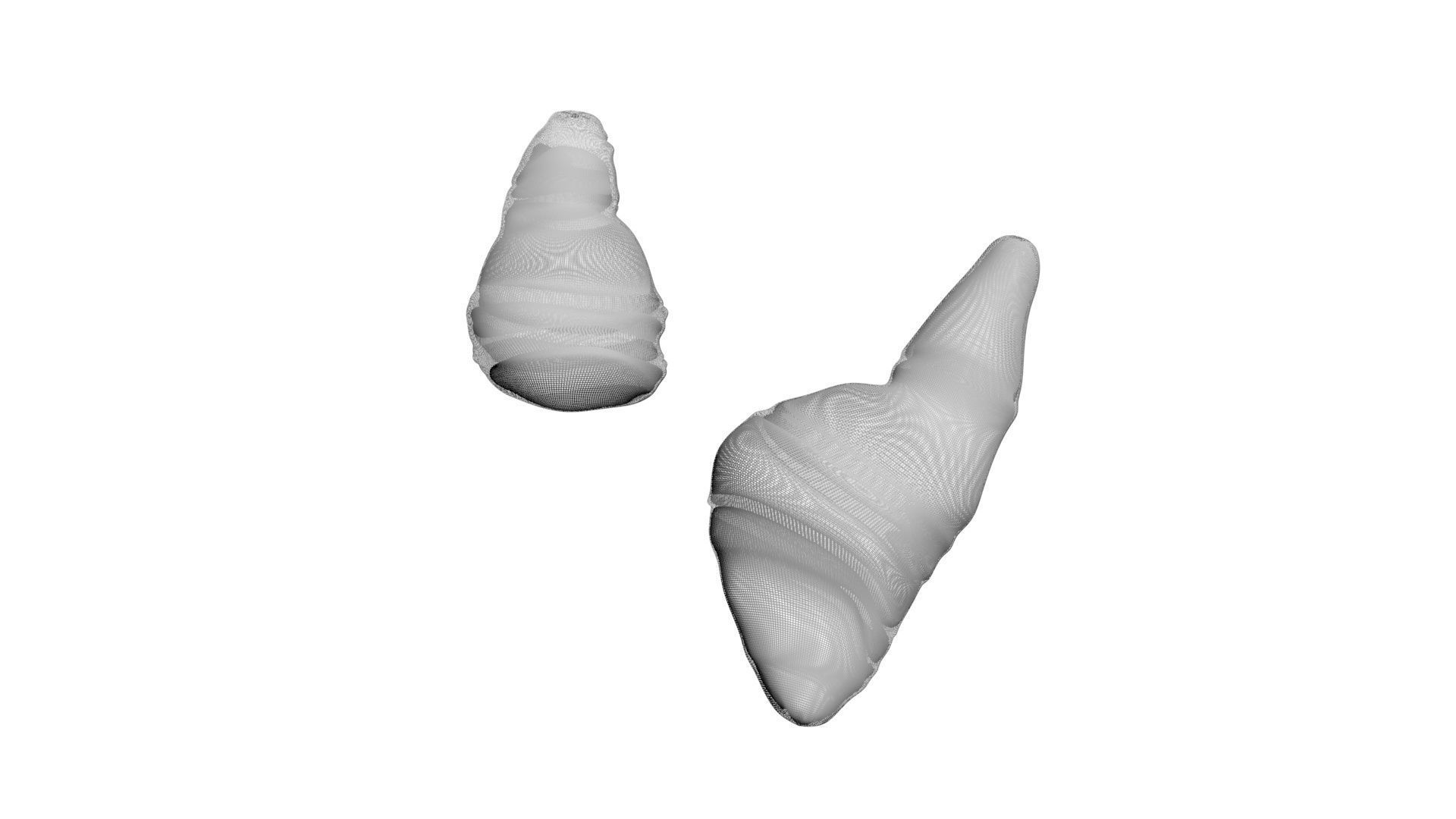 Fish Heart 3D model_12