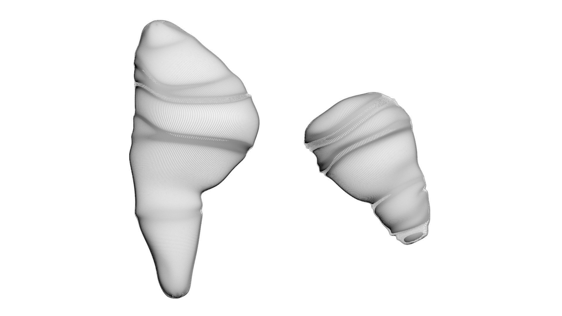 Fish Heart 3D model_14