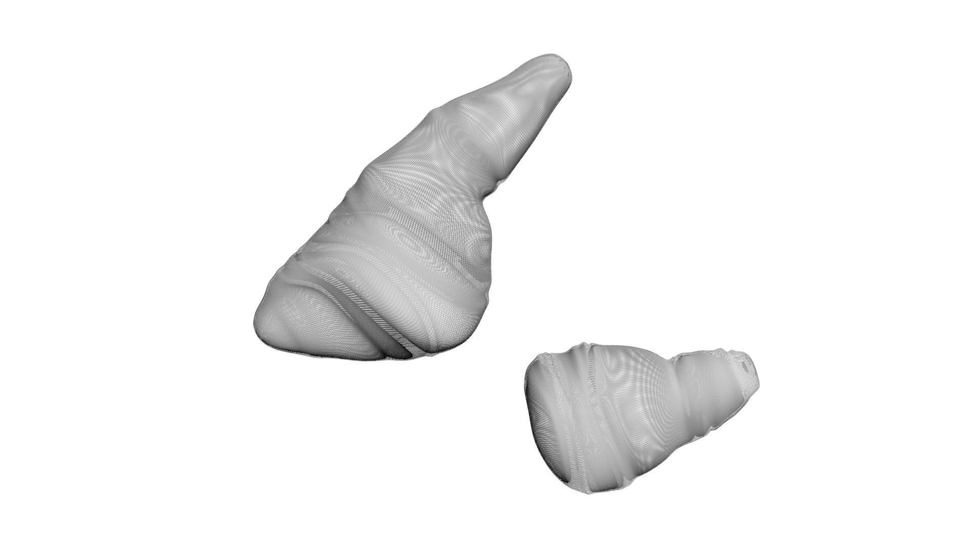 Fish Heart 3D model_13