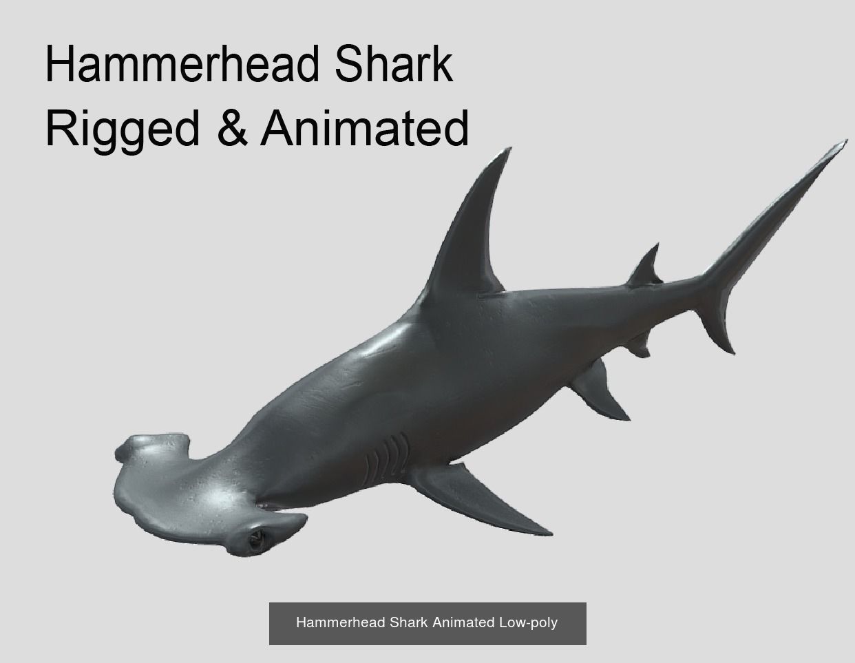 Low Poly Big Fish Collection Animated - Game Ready  _15