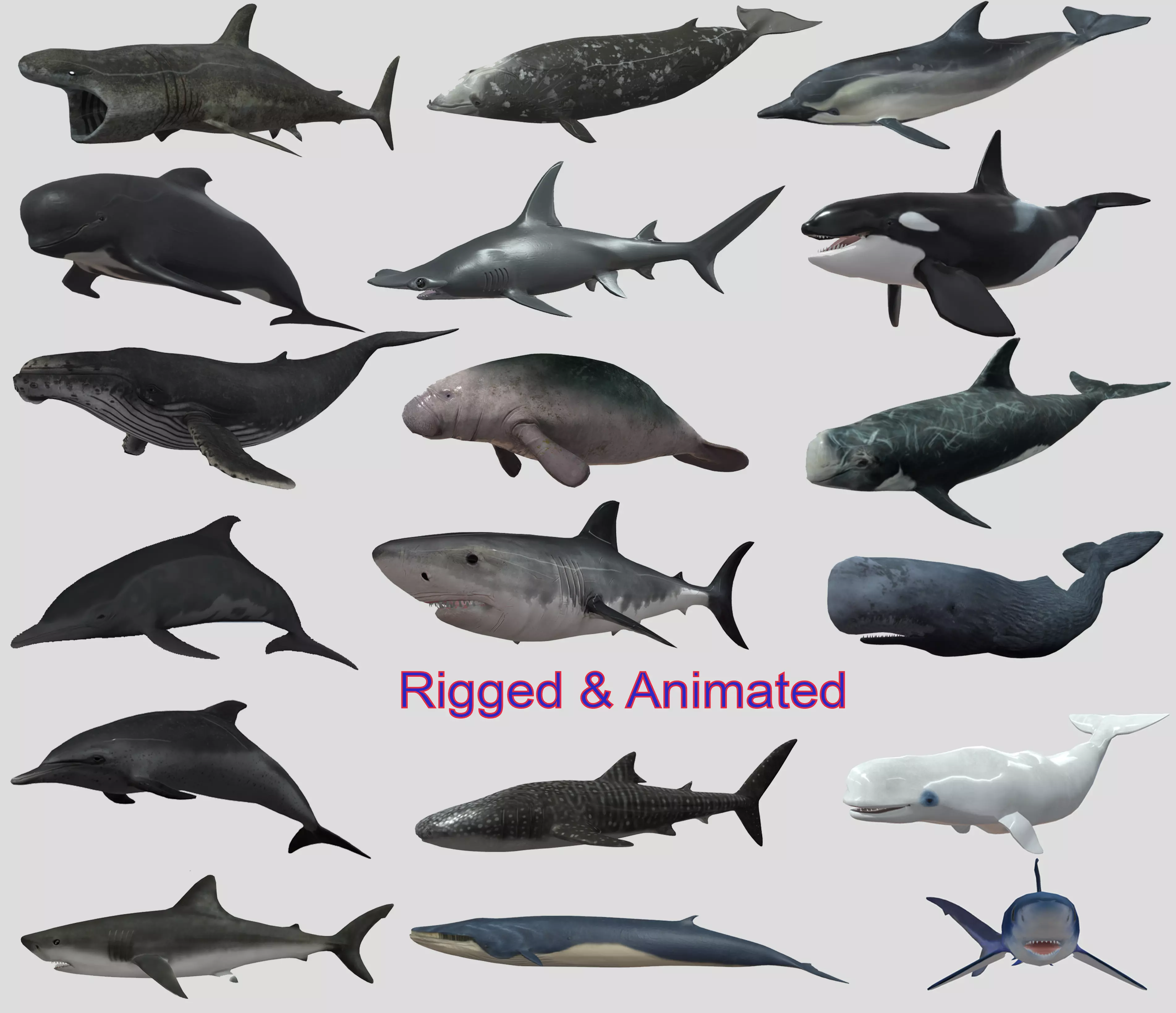 Low Poly Big Fish Collection Animated - Game Ready  _0