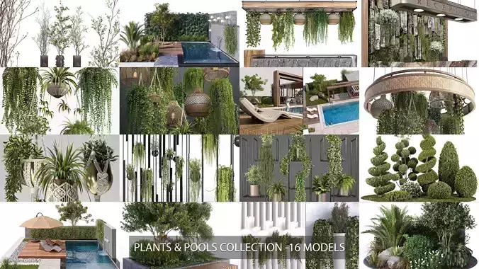 Plants and Pools Collection  