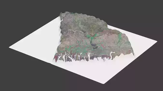 South Carolina State