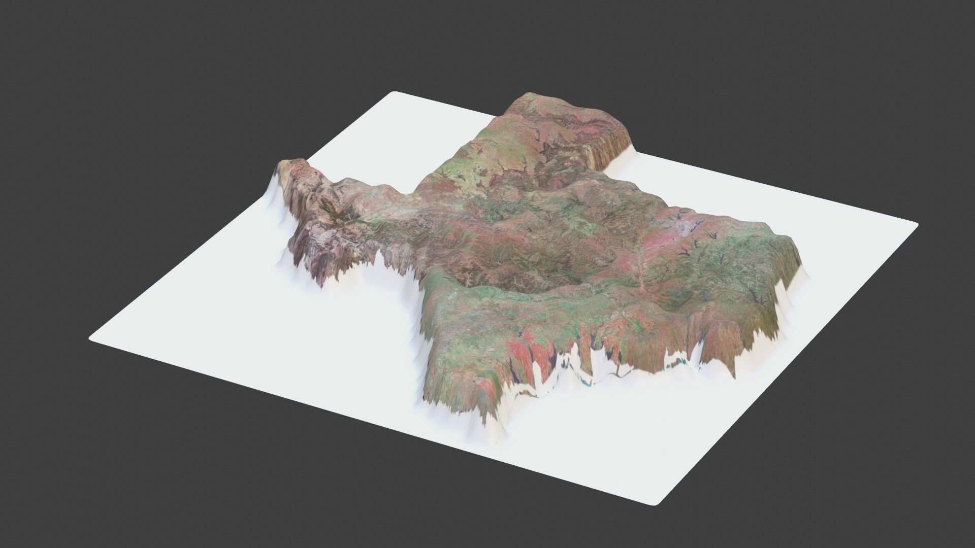 Texas State Low-poly 3D model_5