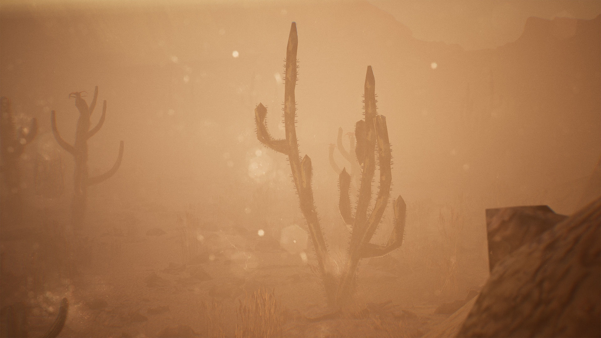 Cactus Package 16 Assets Low-poly 3D model_11