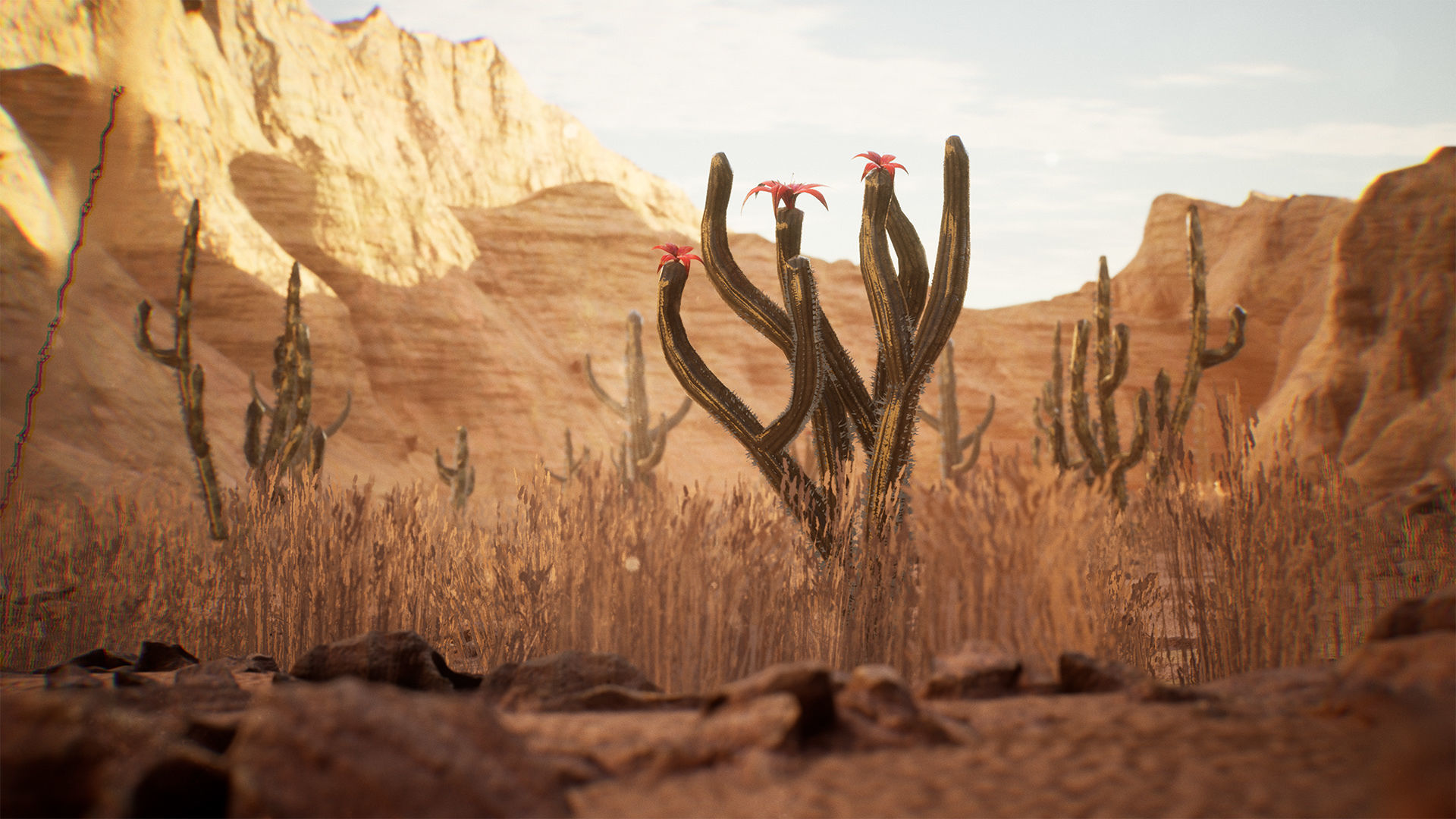 Cactus Package 16 Assets Low-poly 3D model_2