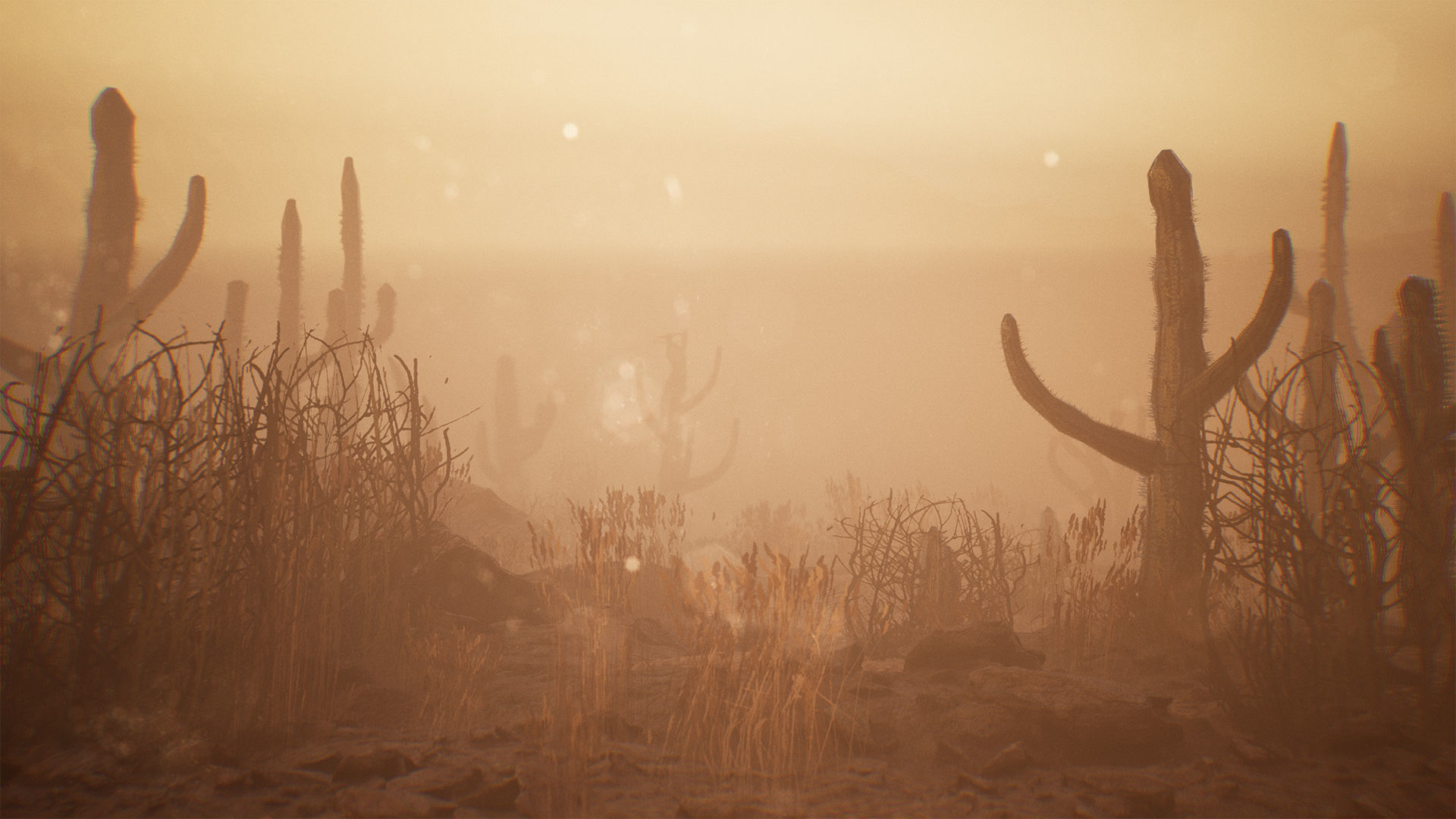 Cactus Package 16 Assets Low-poly 3D model_15