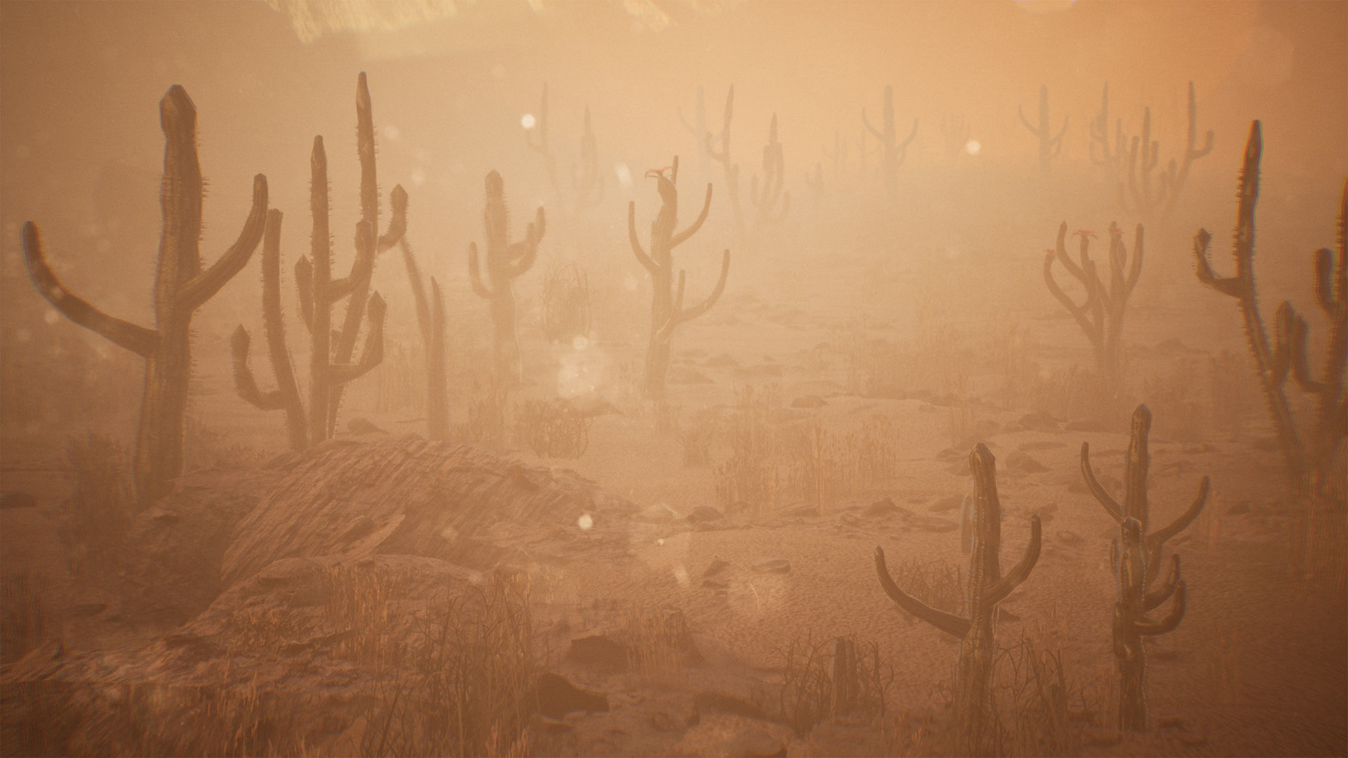 Cactus Package 16 Assets Low-poly 3D model_13