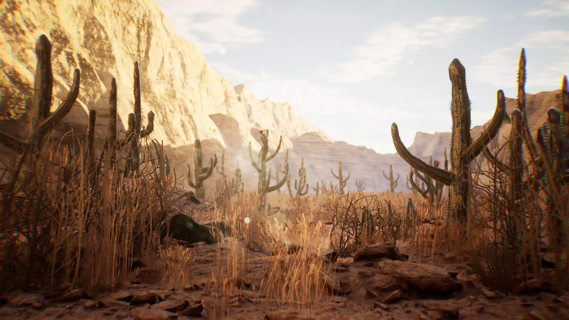 Cactus Package 16 Assets Low-poly 3D model_0