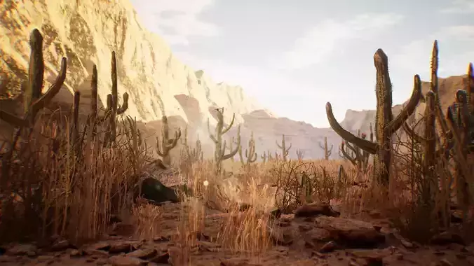 Cactus Package 16 Assets