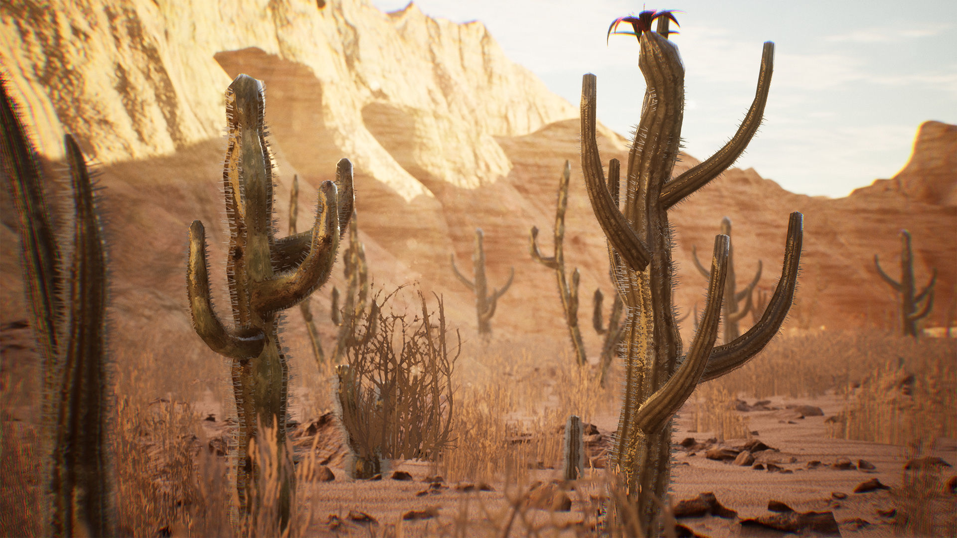 Cactus Package 16 Assets Low-poly 3D model_6