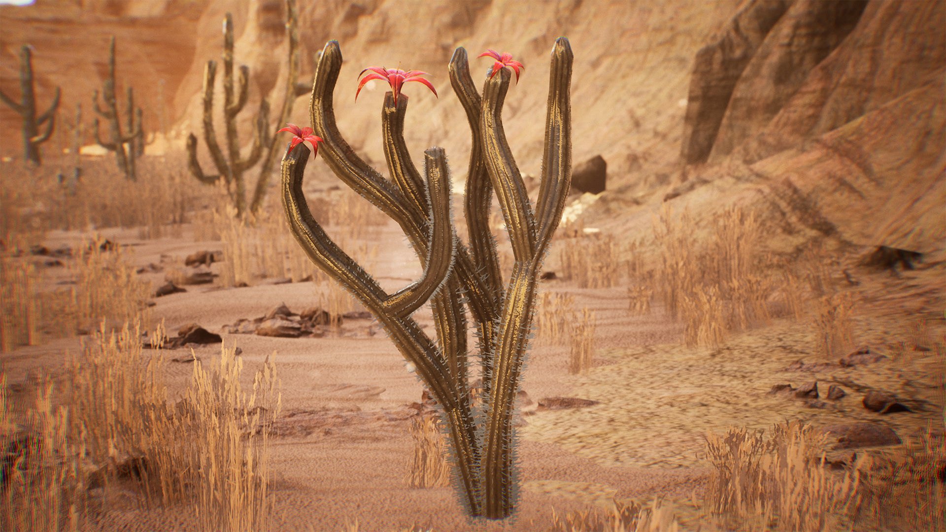 Cactus Package 16 Assets Low-poly 3D model_5