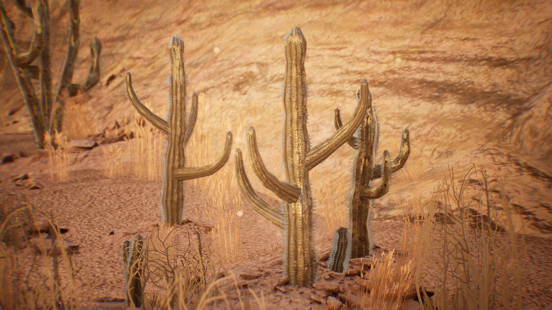 Cactus Package 16 Assets Low-poly 3D model_4