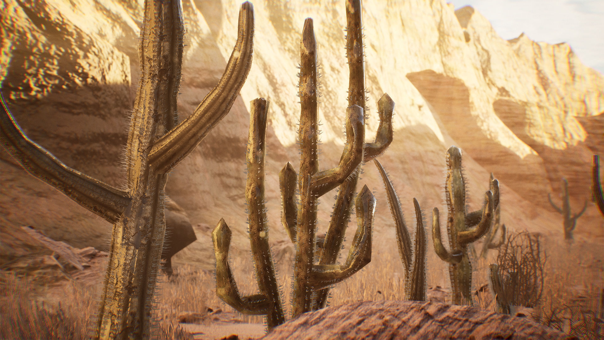 Cactus Package 16 Assets Low-poly 3D model_8