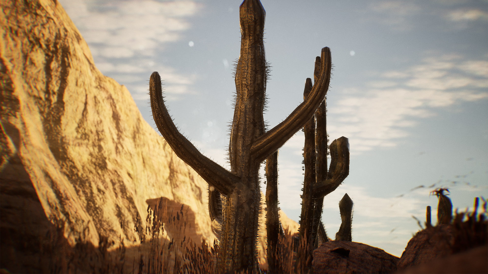 Cactus Package 16 Assets Low-poly 3D model_9